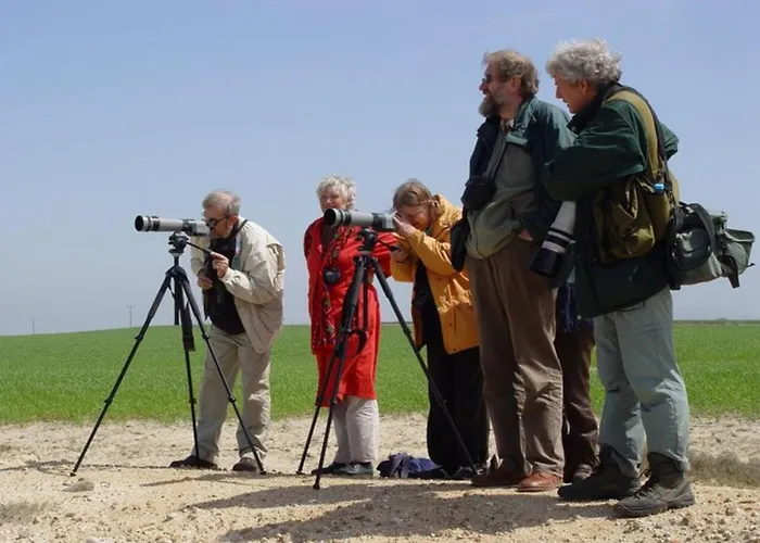 Roxani Maroneia (Crete)